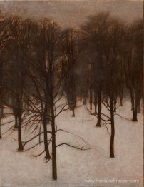 Søndermarken Park en hiver