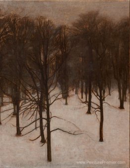 Søndermarken Park en hiver