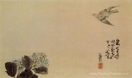 Un petit coucou à travers un hortensia (haiga)