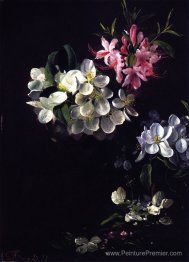 Croquis des fleurs de pomme avec des fleurs de mai