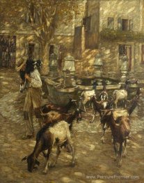 Chèvres à une fontaine