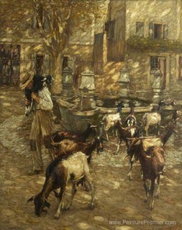 Chèvres à une fontaine
