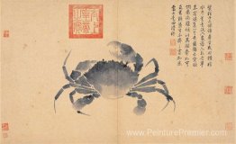 Crabe (croquis de la vie)