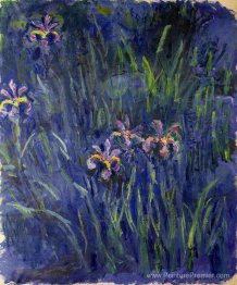 Iris 2