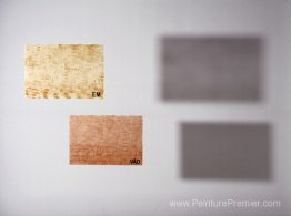 Poèmes légers: em / vão