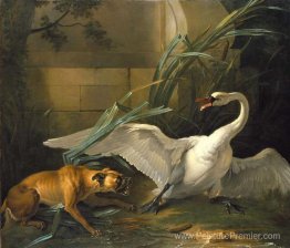 Cygne attaqué par un chien
