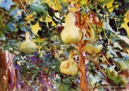 Gourdes