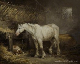 Cheval et chien dans une écurie