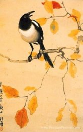 Une Magpie sur une branche d'érable.