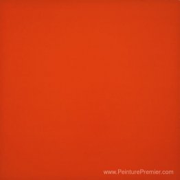 Orange monochrome