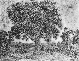 Le grand arbre