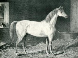 Cheval de messager