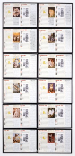 12 mois avec des cartes postales d'aujourd'hui des chatons