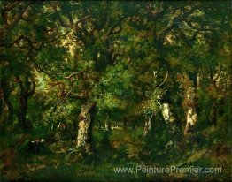 Fagoteuse dans la Forêt