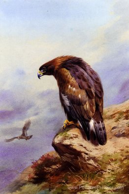Un aigle doré