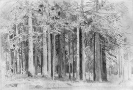 Forêt
