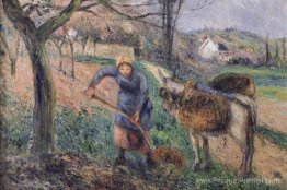 Paysage avec un âne