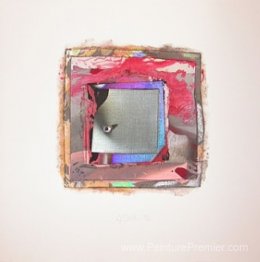 Fraction n ° 1307