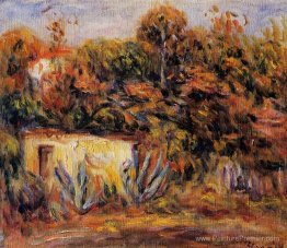 Cabine avec plantes d'aloès