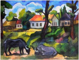 Andcape de Baia Mare (avec des buffles)
