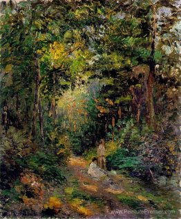 Automne, chemin à travers les bois