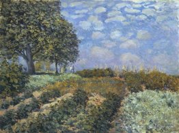 Les champs