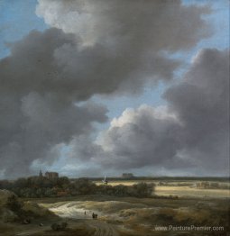 Vue d'Alkmaar