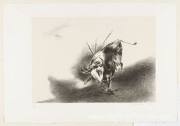 Le taureau