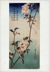 Oiseau et fleur