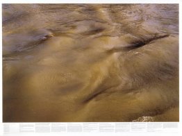 Sans titre (de la série Still Water (la Tamise de la rivière, pa