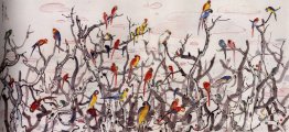 Parrot Haven
