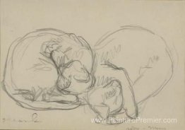 Deux chats endormis