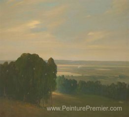 Eucalyptus Grove dans un vaste paysage