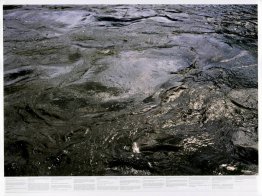 Sans titre (de la série Still Water (la Tamise de la rivière, pa