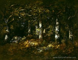 Forêt de Fontainebleau