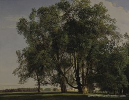 Paysage prater