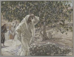 Le figuier