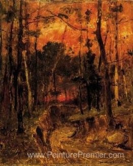 Coucher de soleil dans la forêt