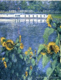Tournesols sur les rives de la Seine