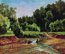 Paysage forestier