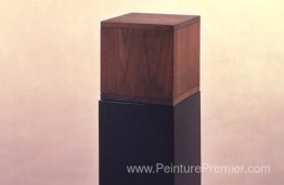 Boîte avec le son de sa propre fabrication