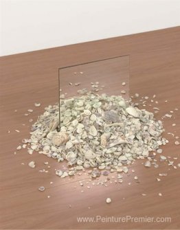 Miroir et coquille