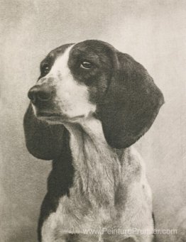 Meine Diana