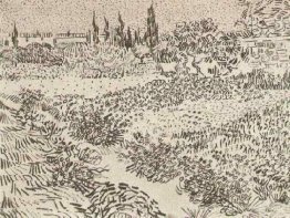 Jardin avec des fleurs