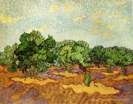 Olive Grove - ciel bleu pâle