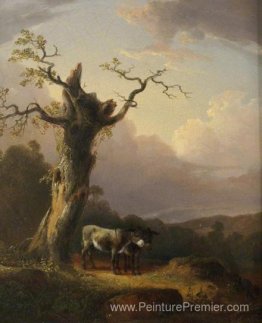 Ânes dans le paysage
