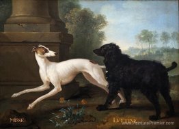 Missy et Luttine