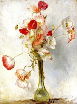 Coquelicots