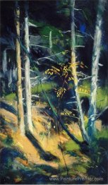 Paysage du Maine