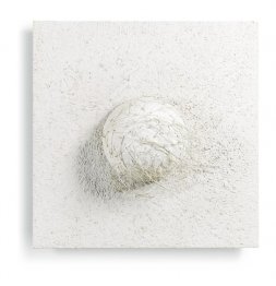 Entité érectile
